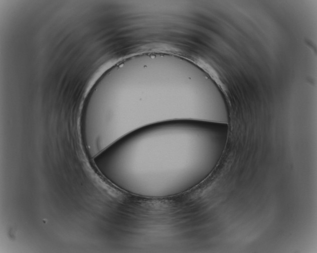 X0000092010947200709061306