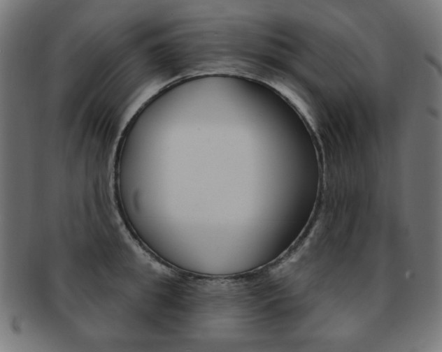 X0000092010949200709061306