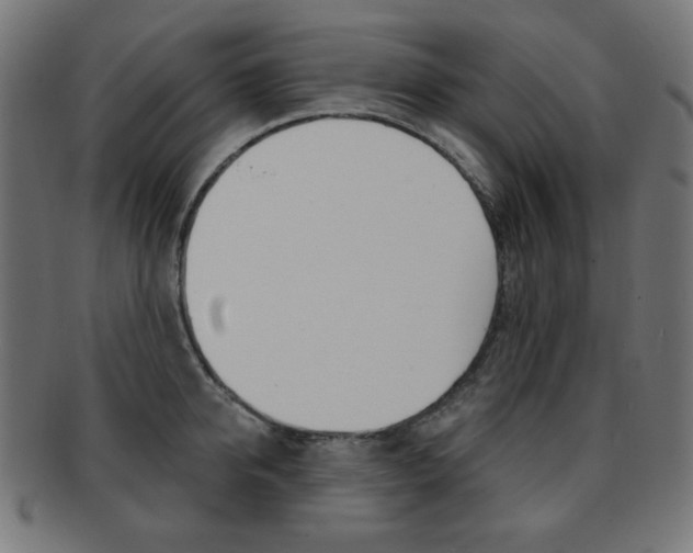 X0000092010950200709061306