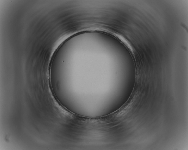 X0000092010951200709061306