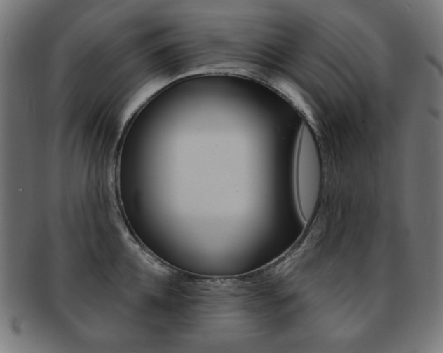 X0000092010952200709061306