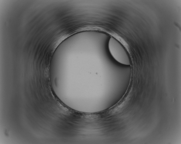 X0000092010953200709061306