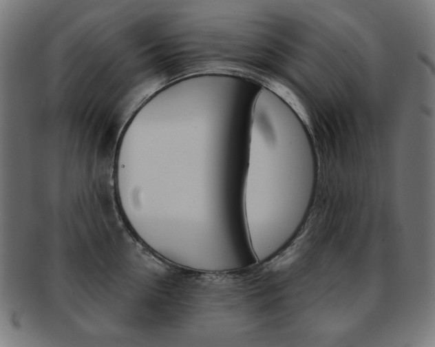 X0000092010954200709061306