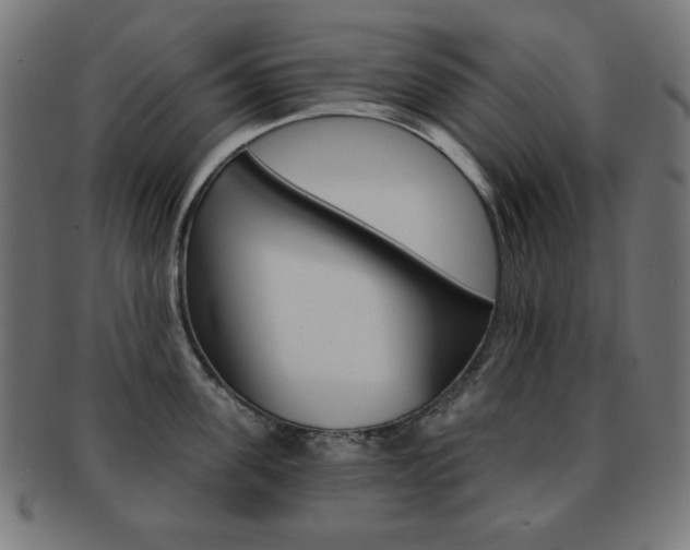 X0000092010955200709061306