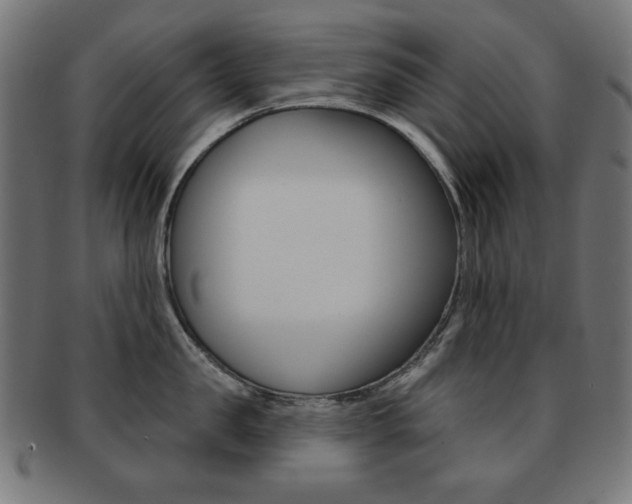 X0000092010957200709061306