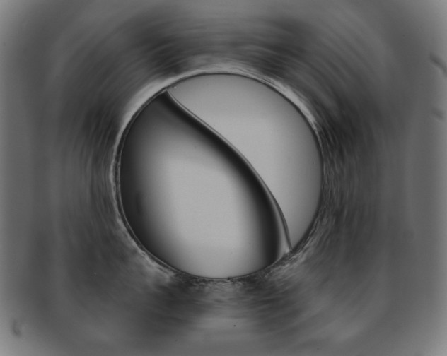 X0000092010959200709061306