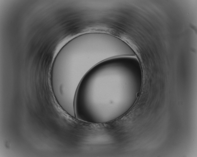 X0000092010960200709061306