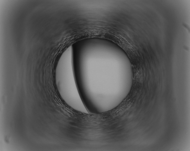 X0000092010961200709061306