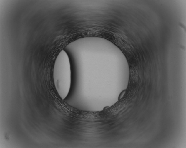 X0000092010962200709061306