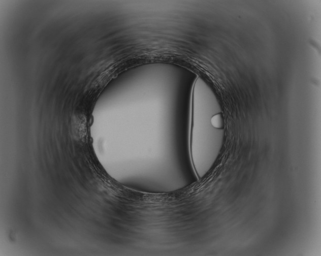 X0000092010963200709061306