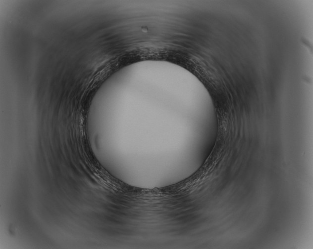 X0000092010964200709061306