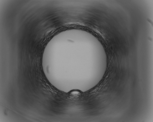 X0000092010965200709061306