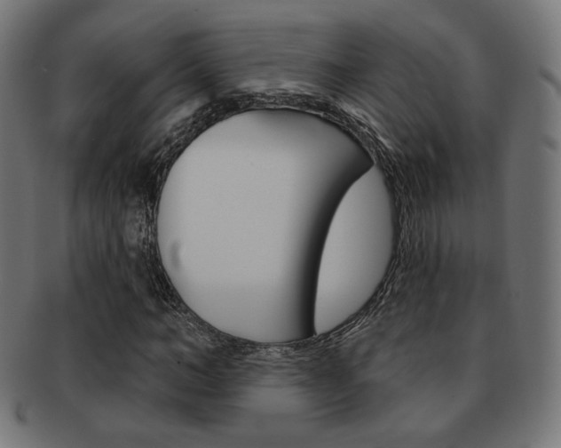 X0000092010966200709061306