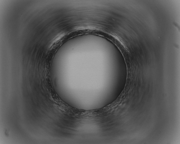 X0000092010967200709061306