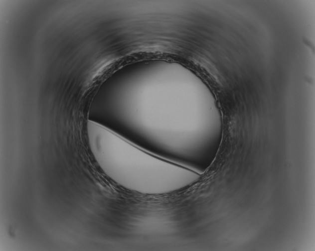 X0000092010968200709061306