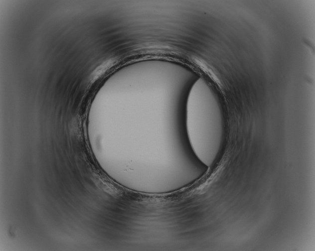 X0000092010970200709061306