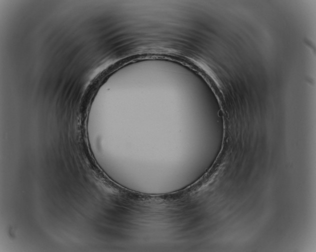 X0000092010971200709061306