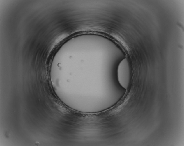 X0000092010974200709061306