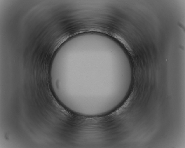 X0000092010977200709061306