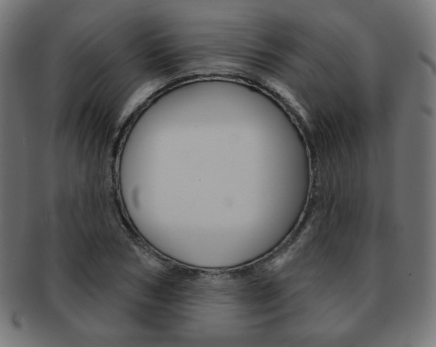 X0000092010978200709061306
