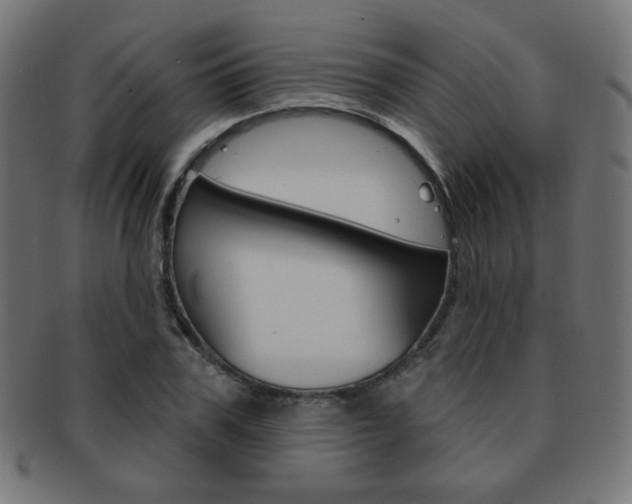 X0000092010979200709061306