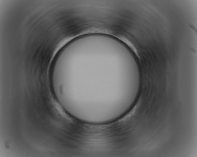 X0000092010981200709061305