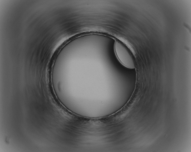X0000092010983200709061305