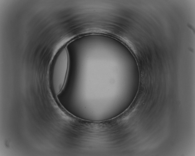 X0000092010987200709061305