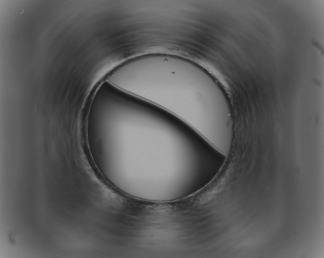 X0000092010991200709061305