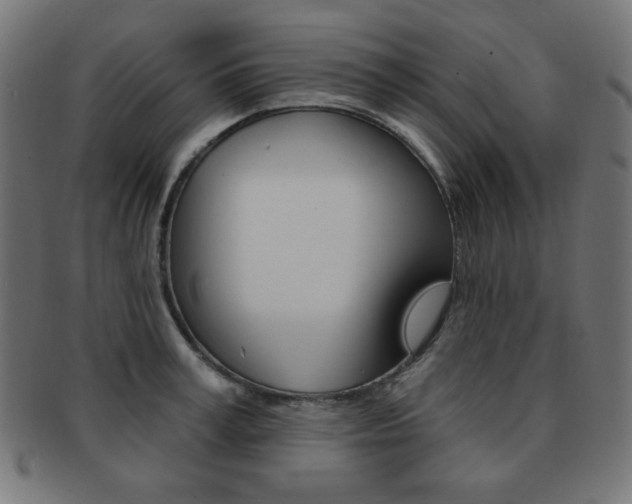 X0000092010995200709061305