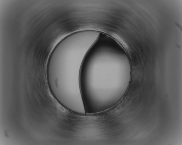 X0000092010996200709061305