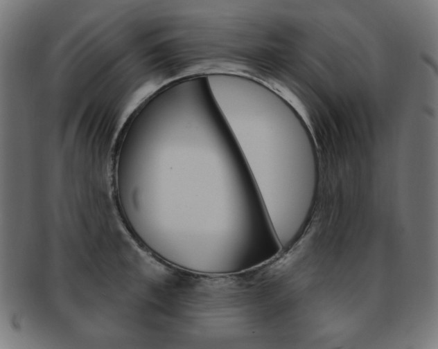 X0000092010997200709061305