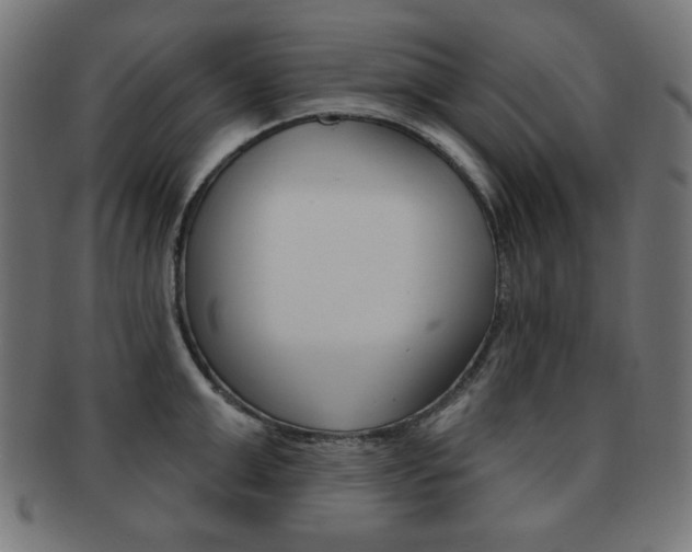 X0000092010999200709061305