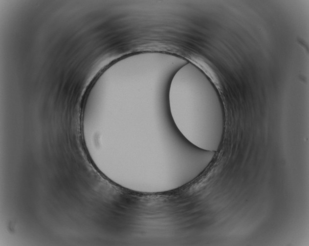 X0000092011000200709061305