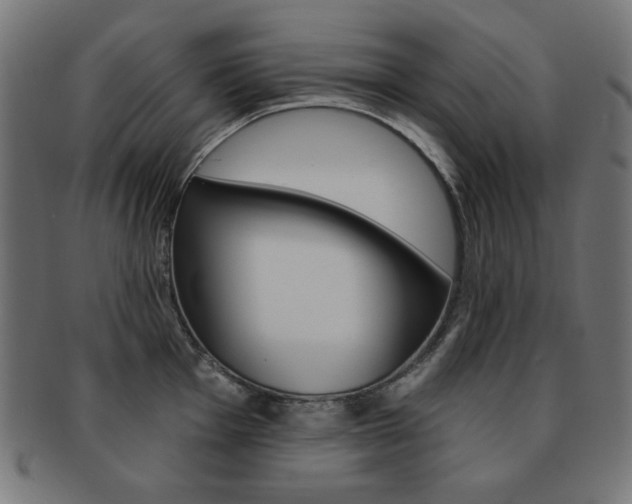 X0000092011001200709061305