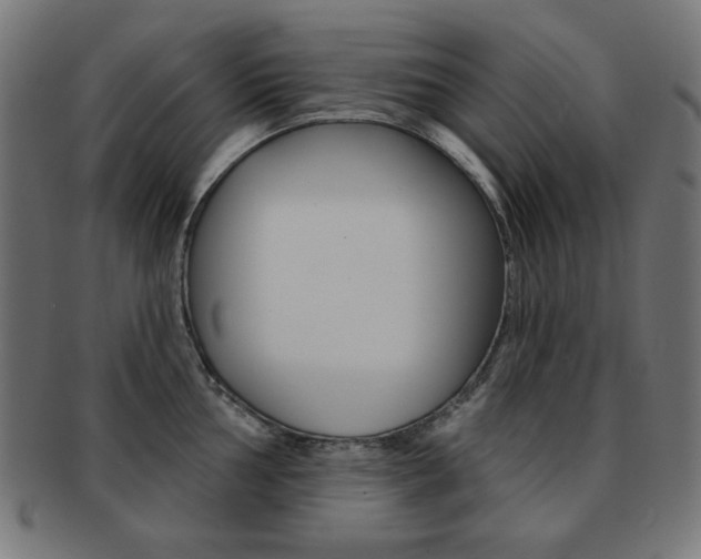 X0000092011002200709061305