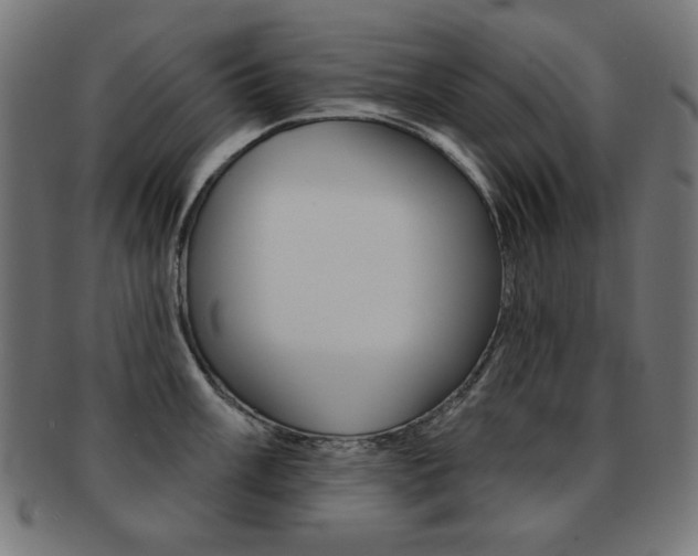 X0000092011003200709061305