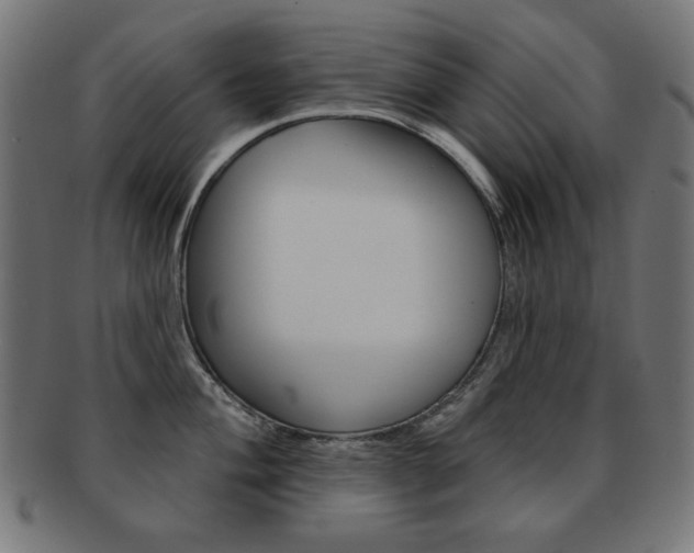 X0000092011004200709061305