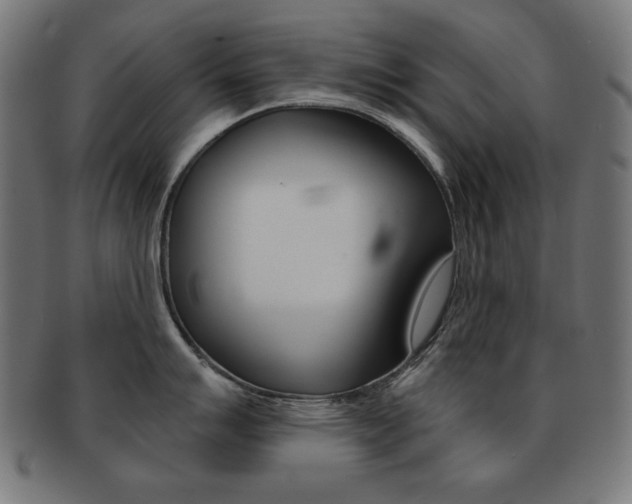 X0000092011007200709061305