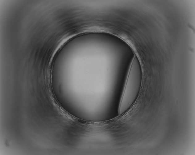 X0000092011008200709061305