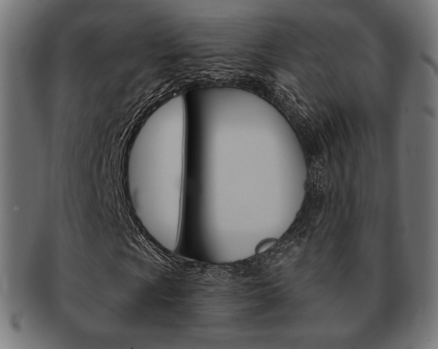 X0000092011009200709061304