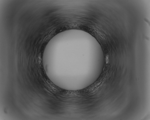 X0000092011011200709061305