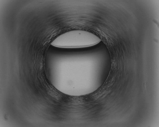 X0000092011012200709061305