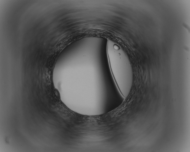 X0000092011013200709061305