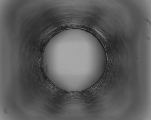 X0000092011015200709061305
