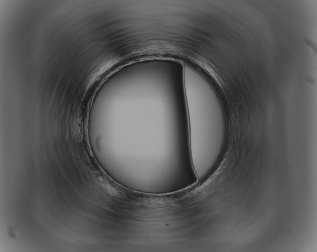 X0000092011018200709061305