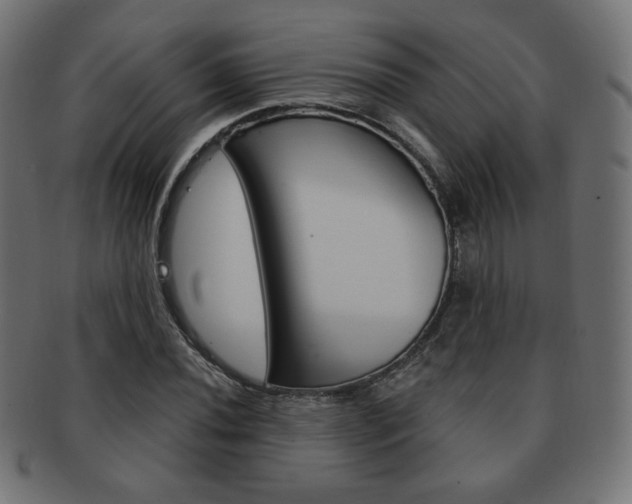 X0000092011020200709061305