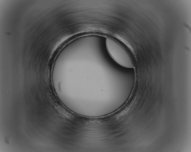 X0000092011021200709061305