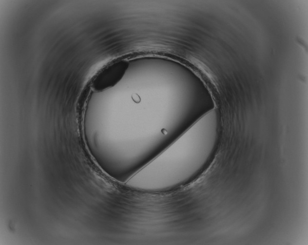 X0000092011022200709061305