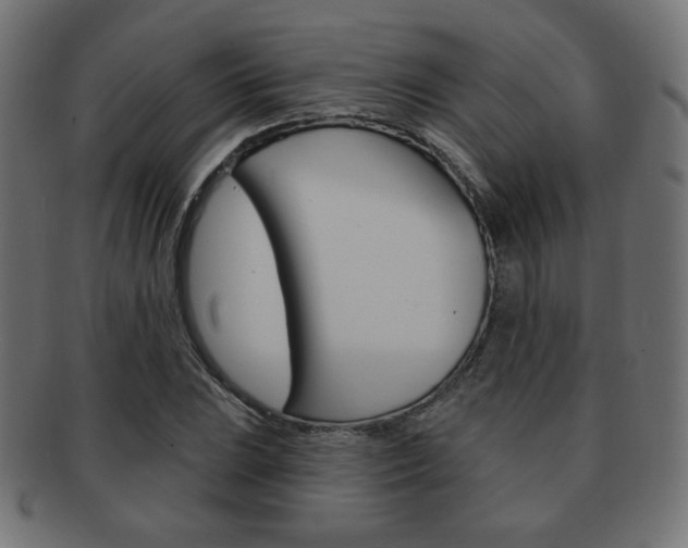 X0000092011023200709061305